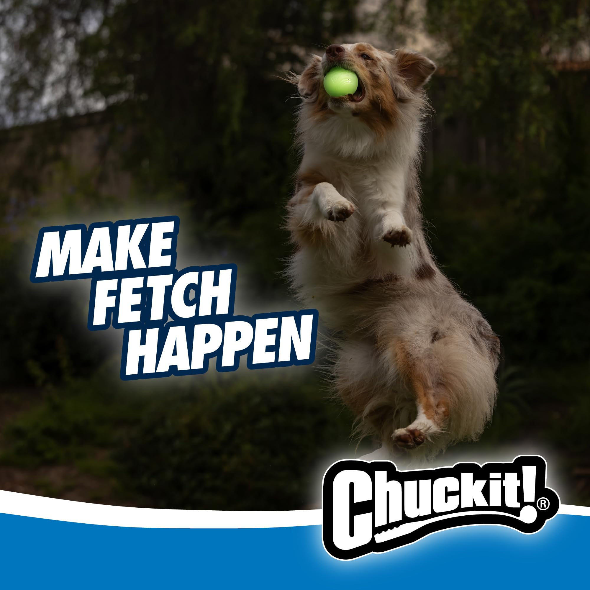 Texture adhérente et durable pour des jeux actifs avec Chuckit!.