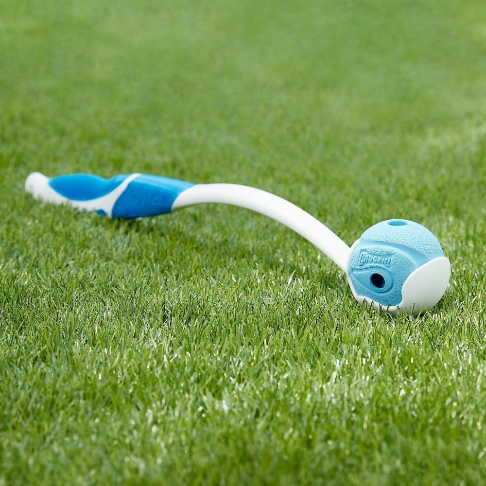 Chuckit! Balle taille moyenne compatible lancer Chuckit!