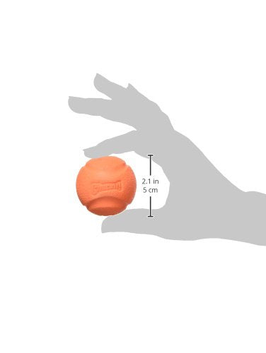 Chuckit! balle extérieure, parfaite pour les activités quotidiennes.