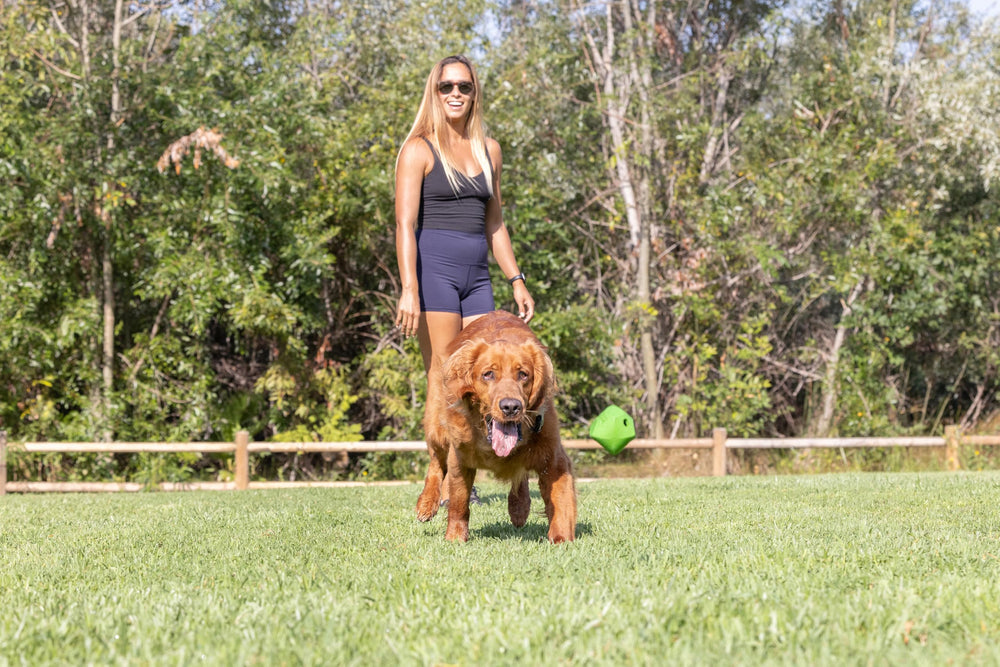 Balle Chuckit! rebond aléatoire – stimulation mentale et physique pour petits chiens.