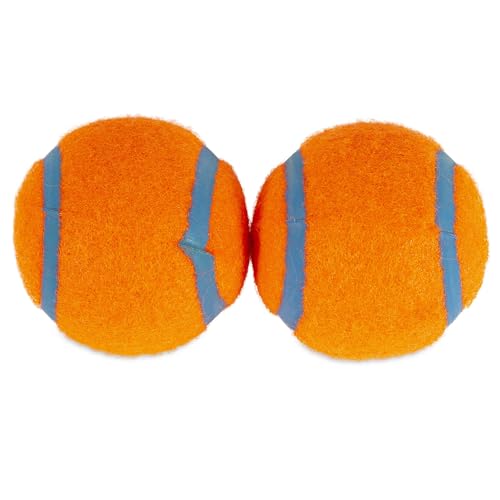 Balle Chuckit! Tennis qui flotte pour les jeux d’eau.