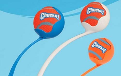 Chuckit! balle tennis XL – pack de 2 pour des sessions prolongées