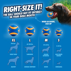 Chuckit Ultra Squeaker XL : sifflet intégré pour un fetch plus engageant.