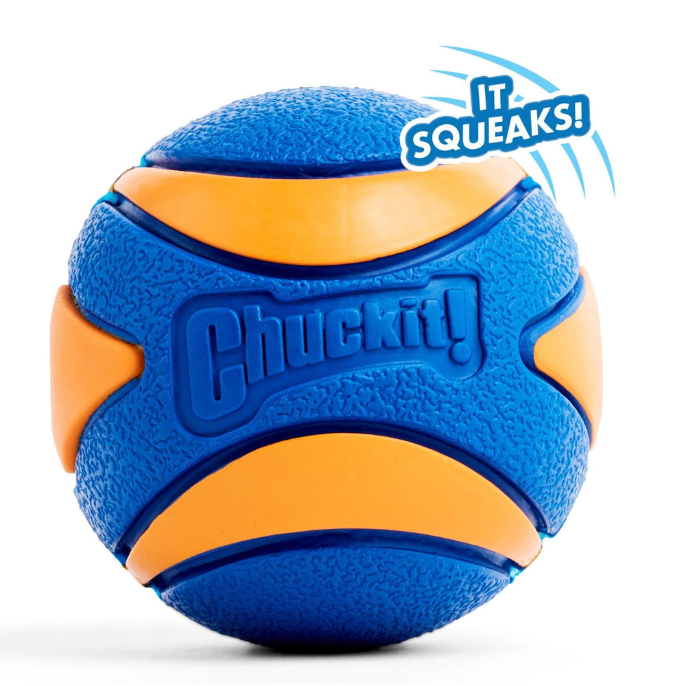 Chuckit Ultra Squeaker XL : balle ultra-siffante en couleurs vives pour visibilité.