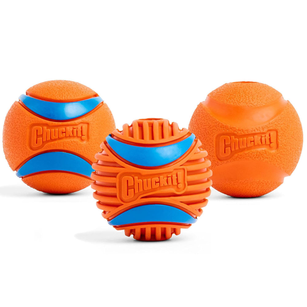 Balle Chuckit! durable et polyvalente pour chiens actifs.