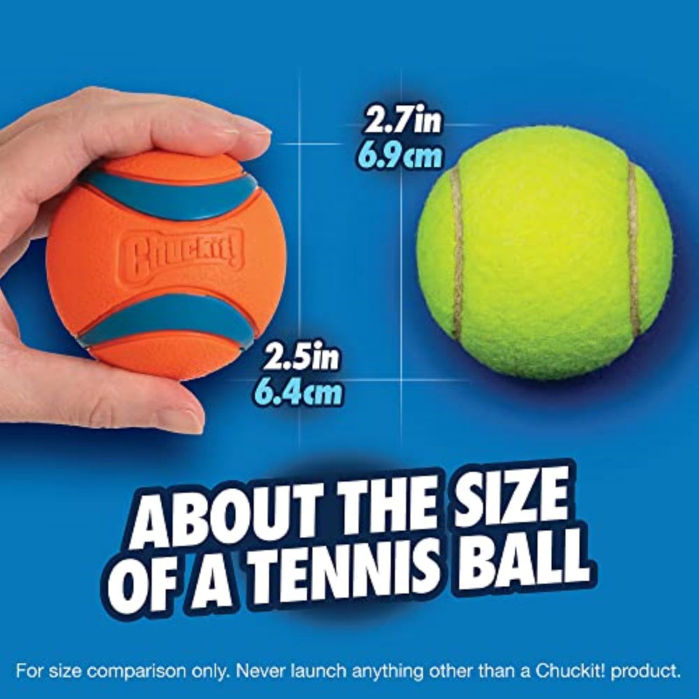 Balles moyenne Chuckit! 2,5 pouces adaptées chiens 20–60 lb.