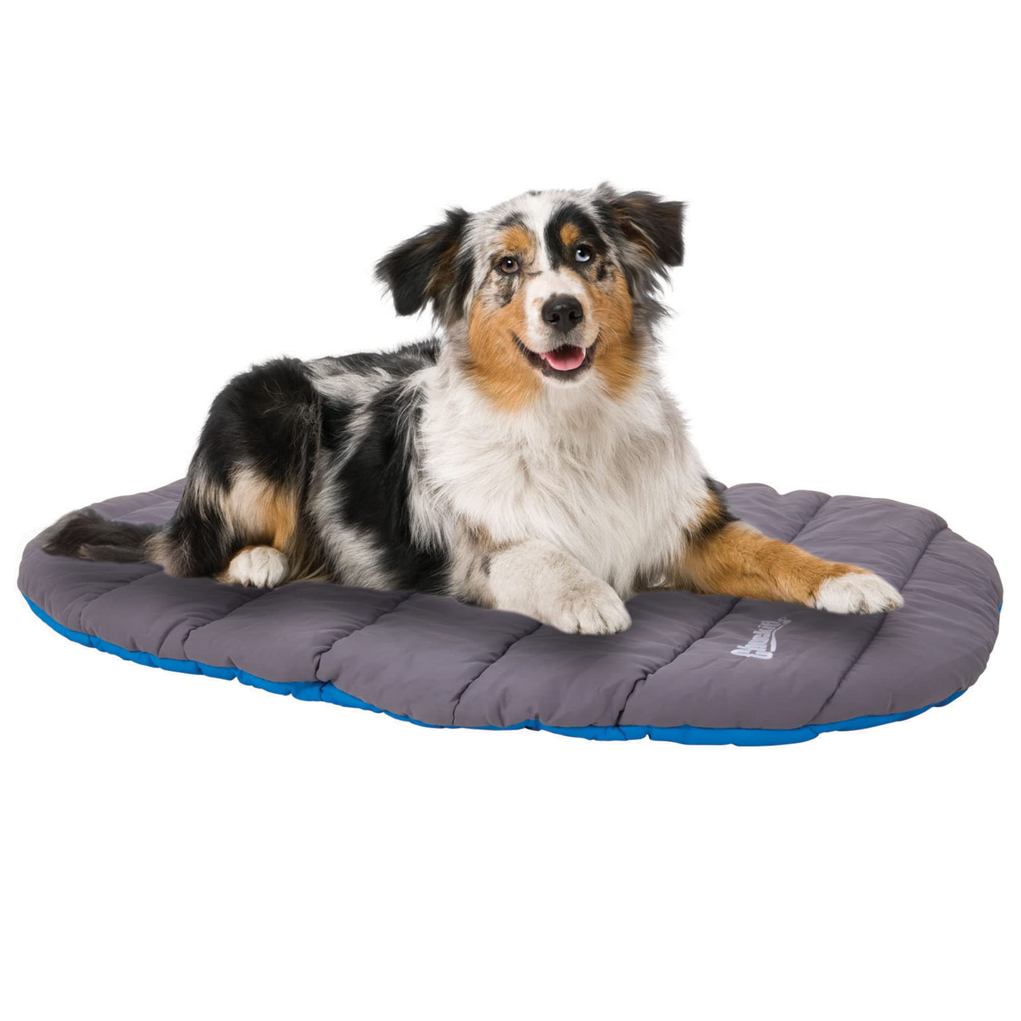 Chuckit! Boucle intégrée facilite le séchage à l'air.