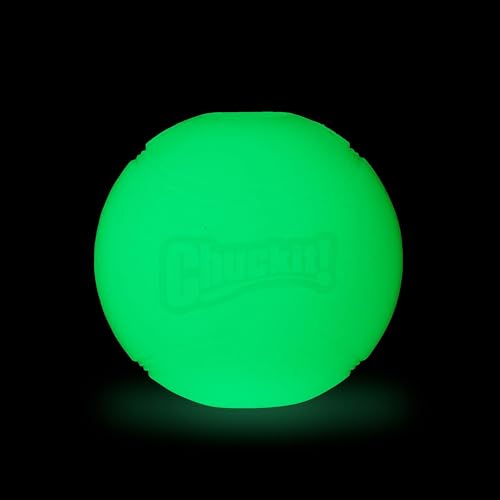 Boule Chuckit lumineuse en action, visibilité nocturne accrue pour fetch