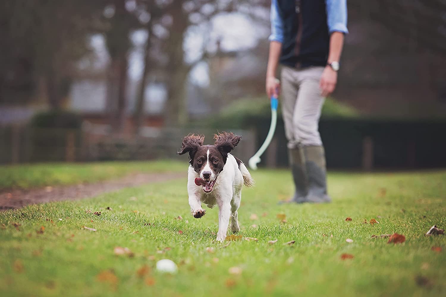 Note de taille: boule Chuckit lumineuse adaptée aux chiens moyens