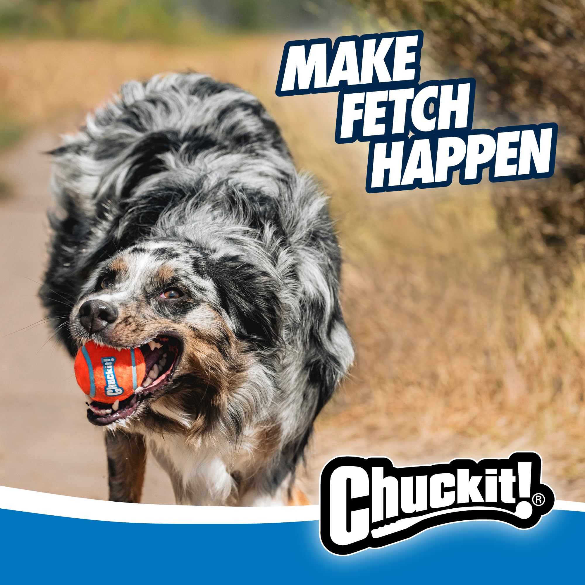 Idée cadeau Chuckit! pour propriétaires de chiens actifs