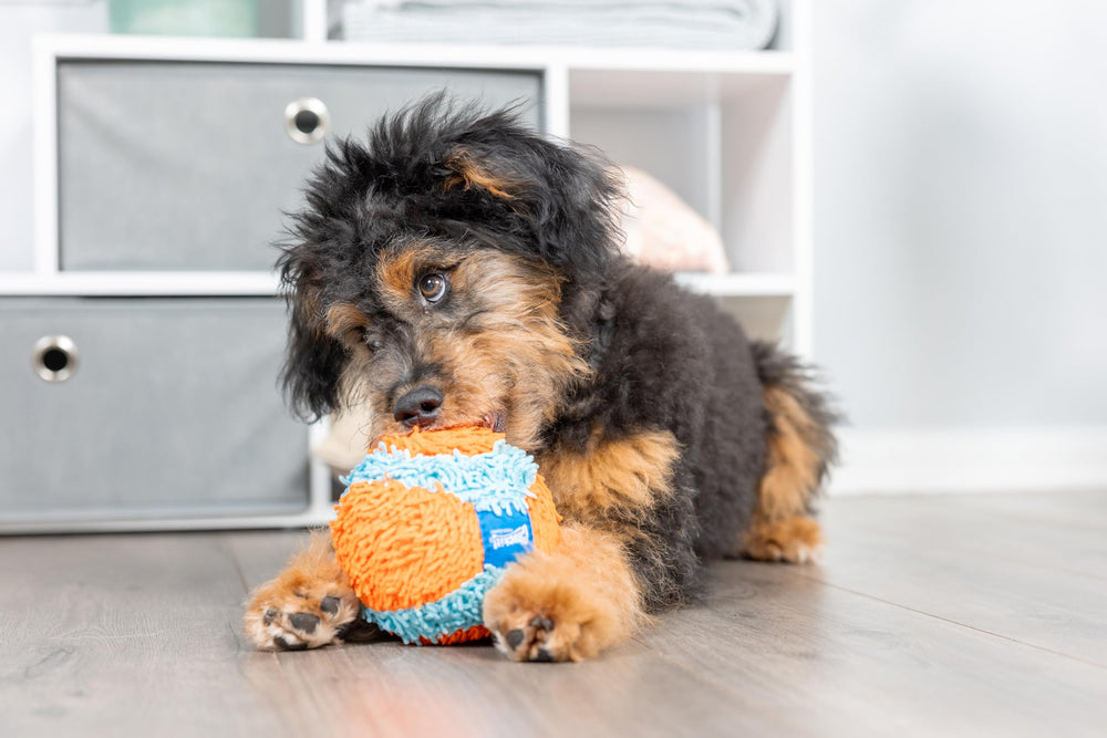 Chuckit ballon intérieur couvert de chenille douce, jeu confortable pour votre chien.