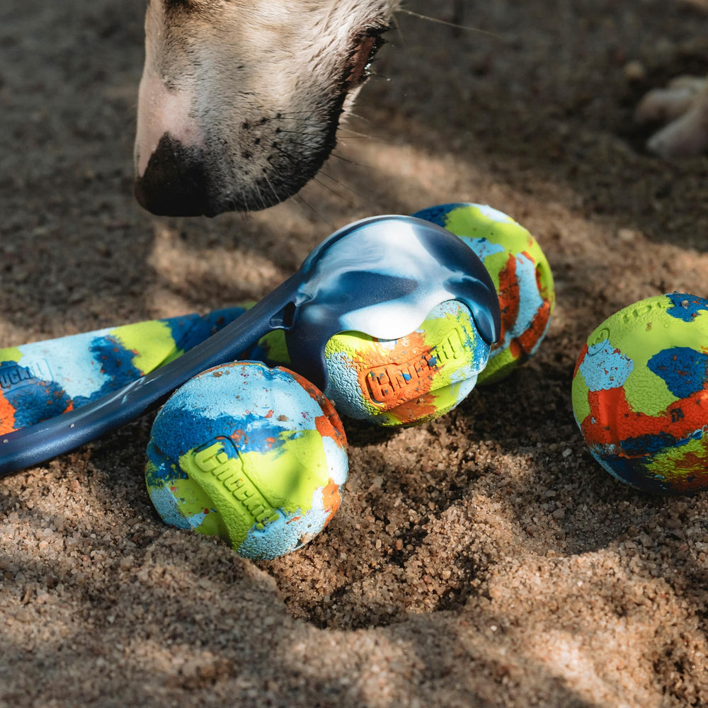 Balle EcoFetch Chuckit durable pour chien, parfaite pour les jeux extérieurs.