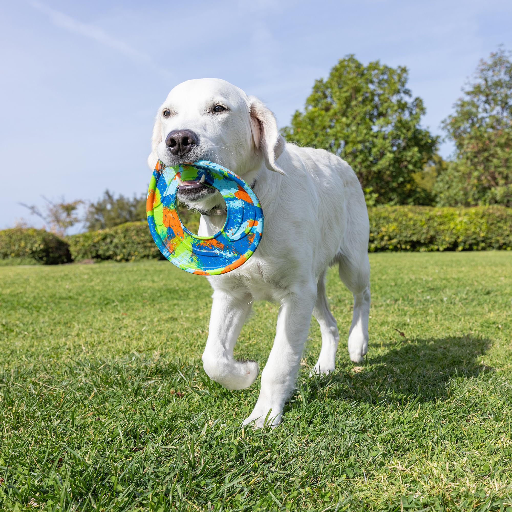 Chuckit EcoFetch Flyer en caoutchouc durable résiste aux jeux énergétiques.