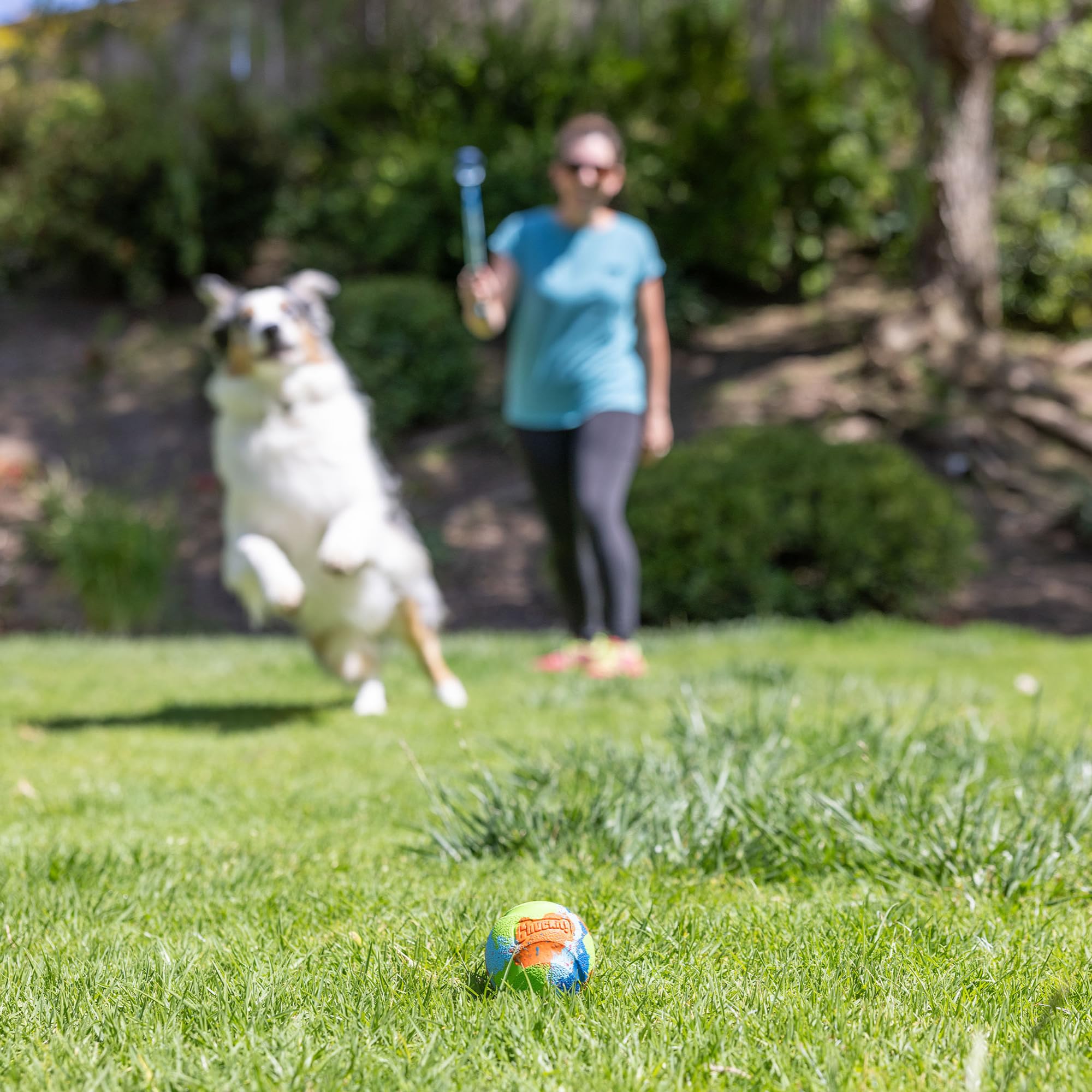 Balle EcoFetch Chuckit compatible avec lanceur, pour des lancers plus lointains.