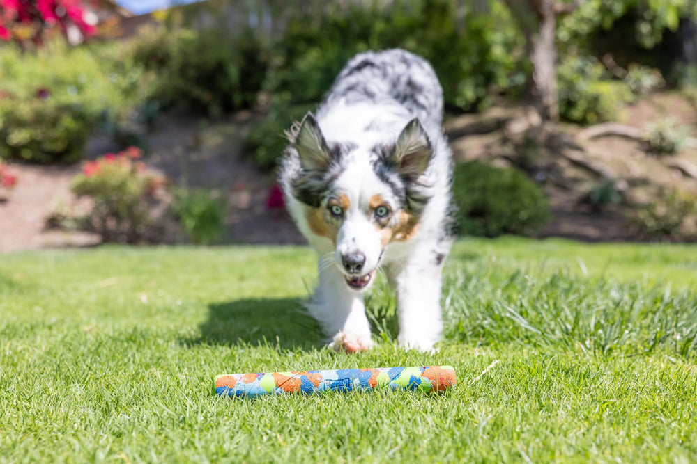 Chuckit EcoFetch Stick: caoutchouc recyclé certifié pour une durabilité responsable.