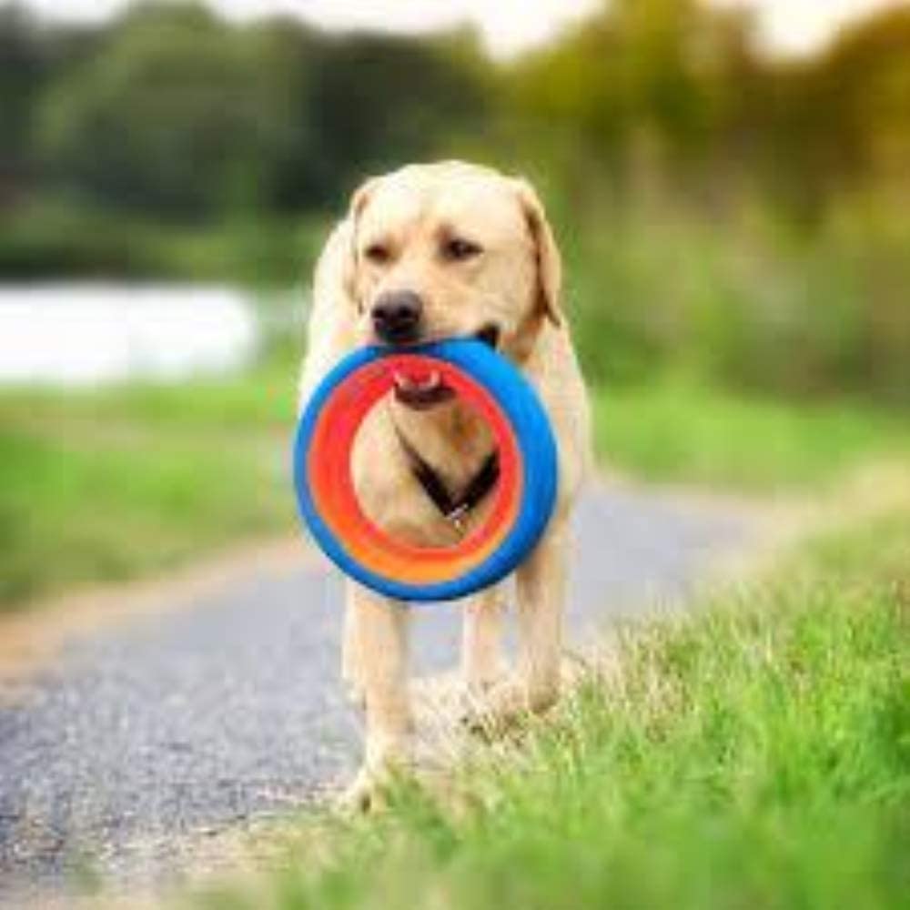 Chuckit! Fetch Wheel, centre-ouvert, prise facile pour ramasser et transporter.