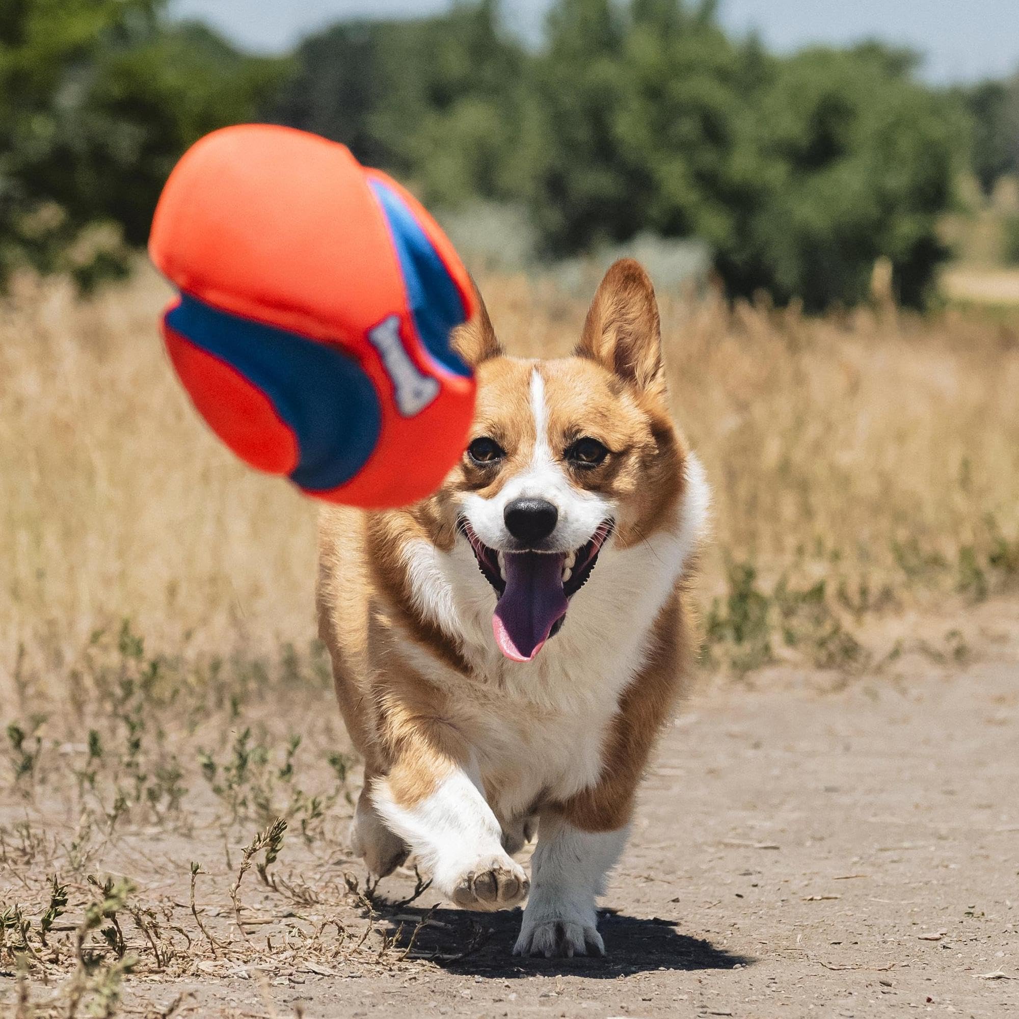 Chuckit! Fumble Fetch: couleur orange et bleu pour meilleure visibilité