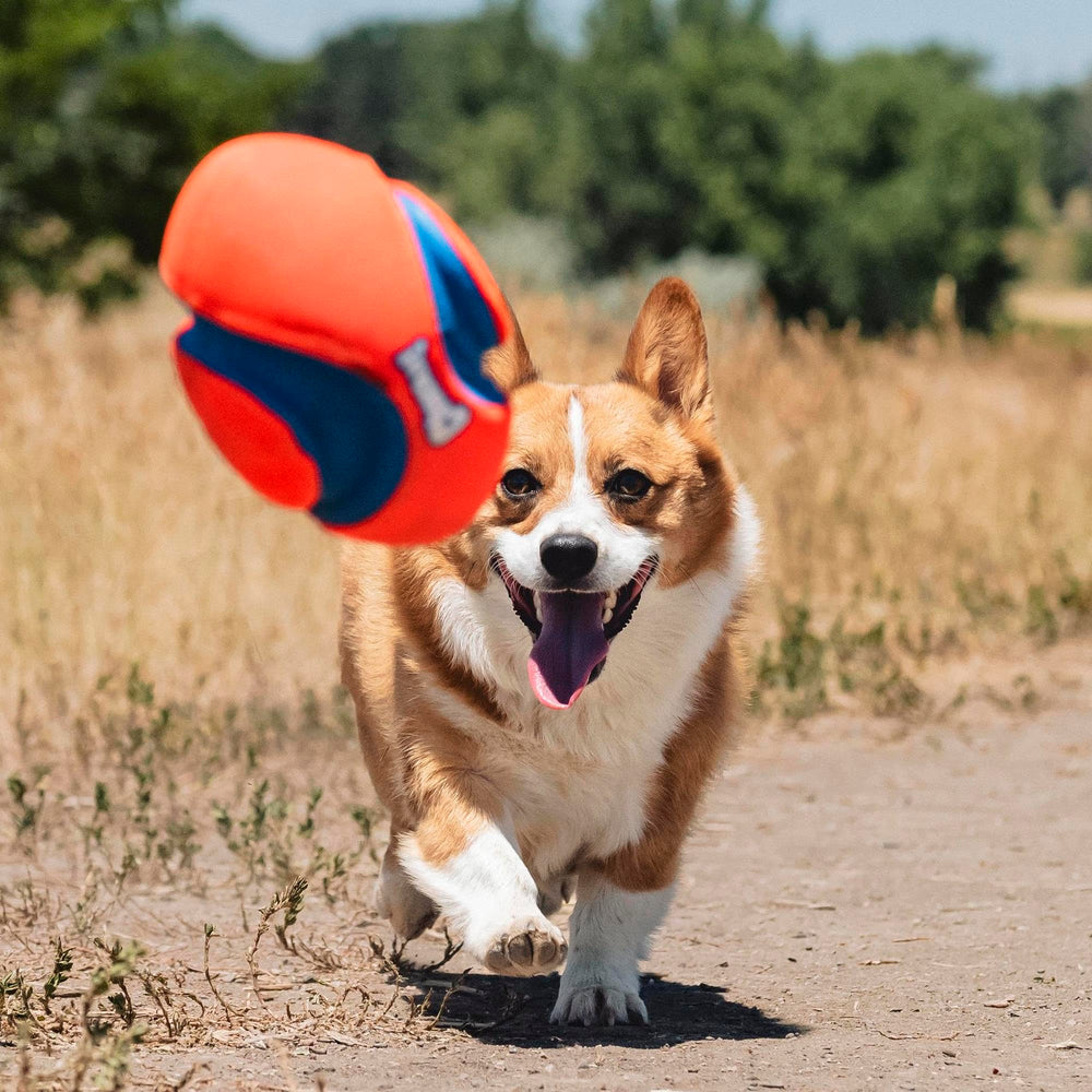 Chuckit! Fumble Fetch: couleur orange et bleu pour meilleure visibilité