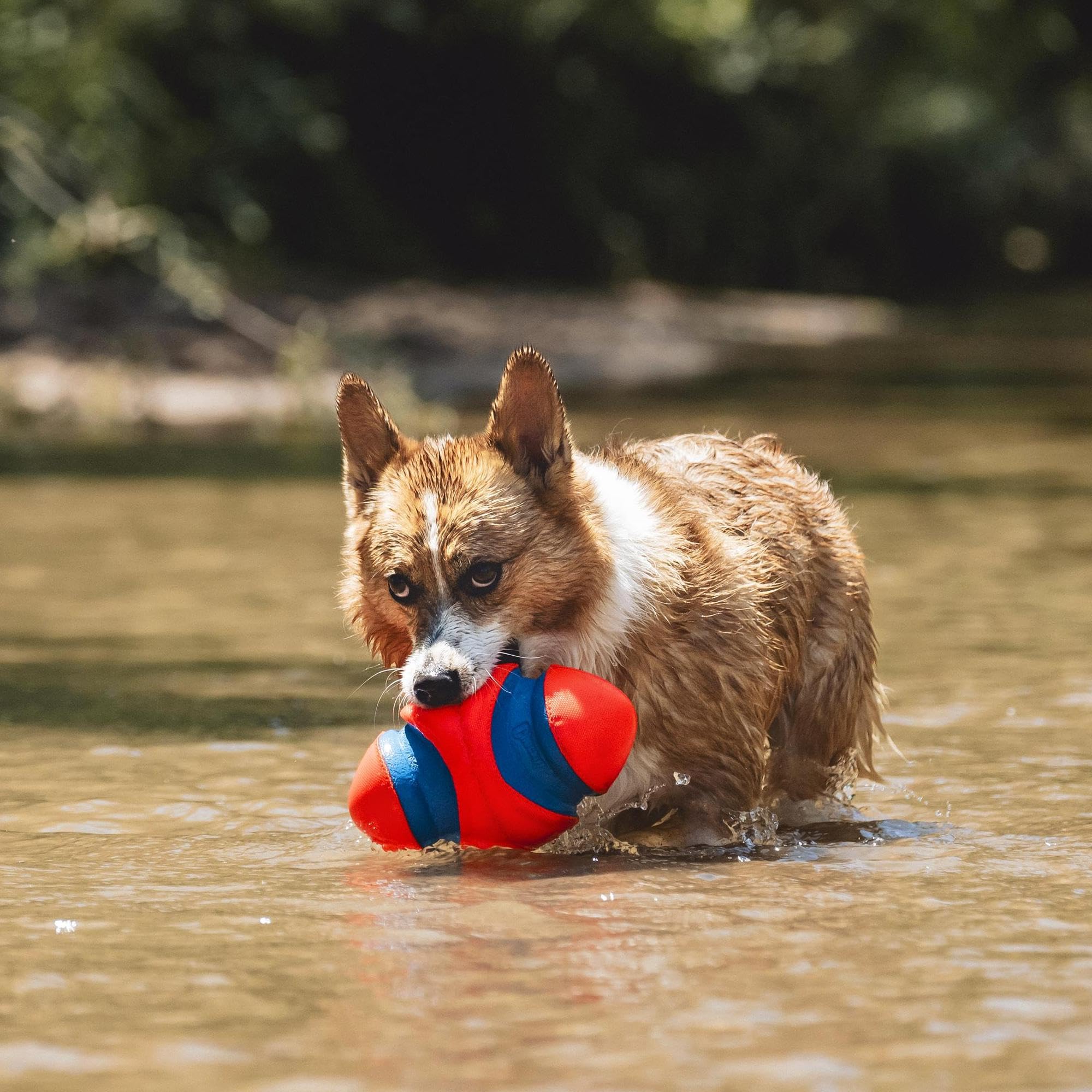 Chuckit! Fumble Fetch: utilisation adaptée à l’intérieur et à l’extérieur