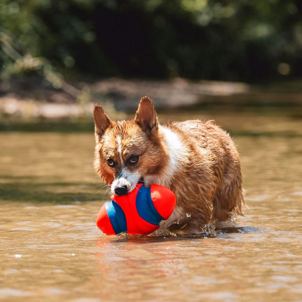 Chuckit! Fumble Fetch: utilisation adaptée à l’intérieur et à l’extérieur