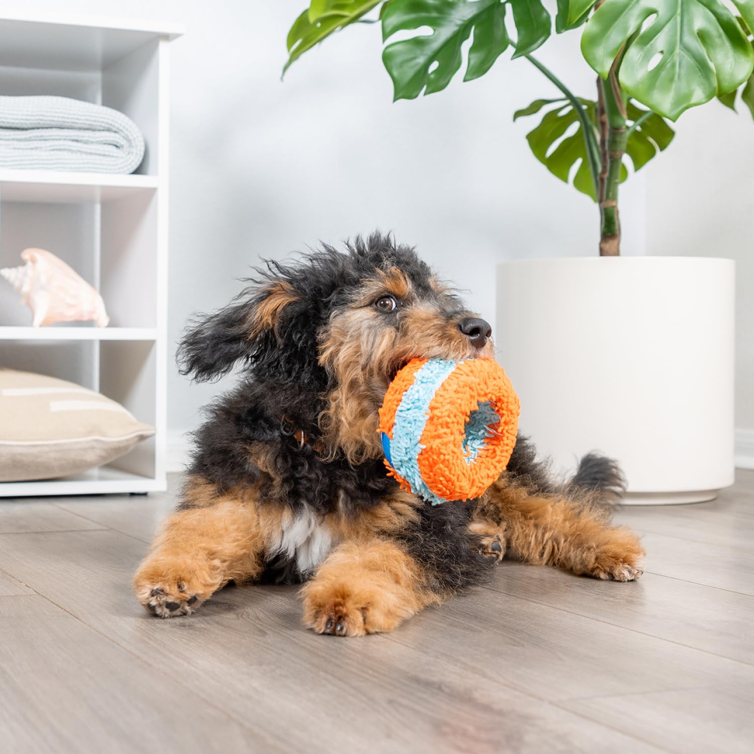 Chuckit! Indoor Roller : construction multicouches durable pour des sessions répétées.