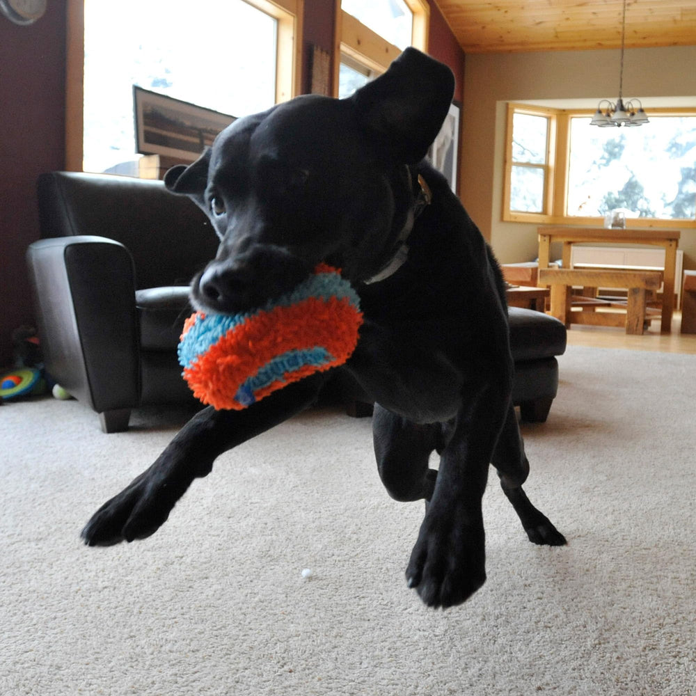 Chuckit! Indoor Roller : faible impact sur meubles et sols pendant le jeu.