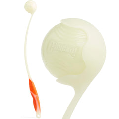Chuckit Pro Lanceur Balle Chien : propulse plus loin pour un chien actif.