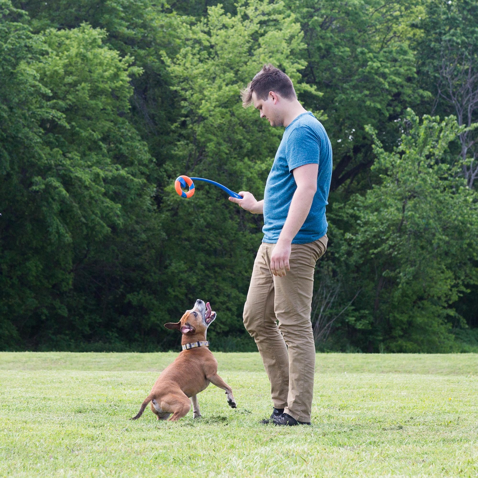 Chien en action avec Chuckit RingChaser en extérieur