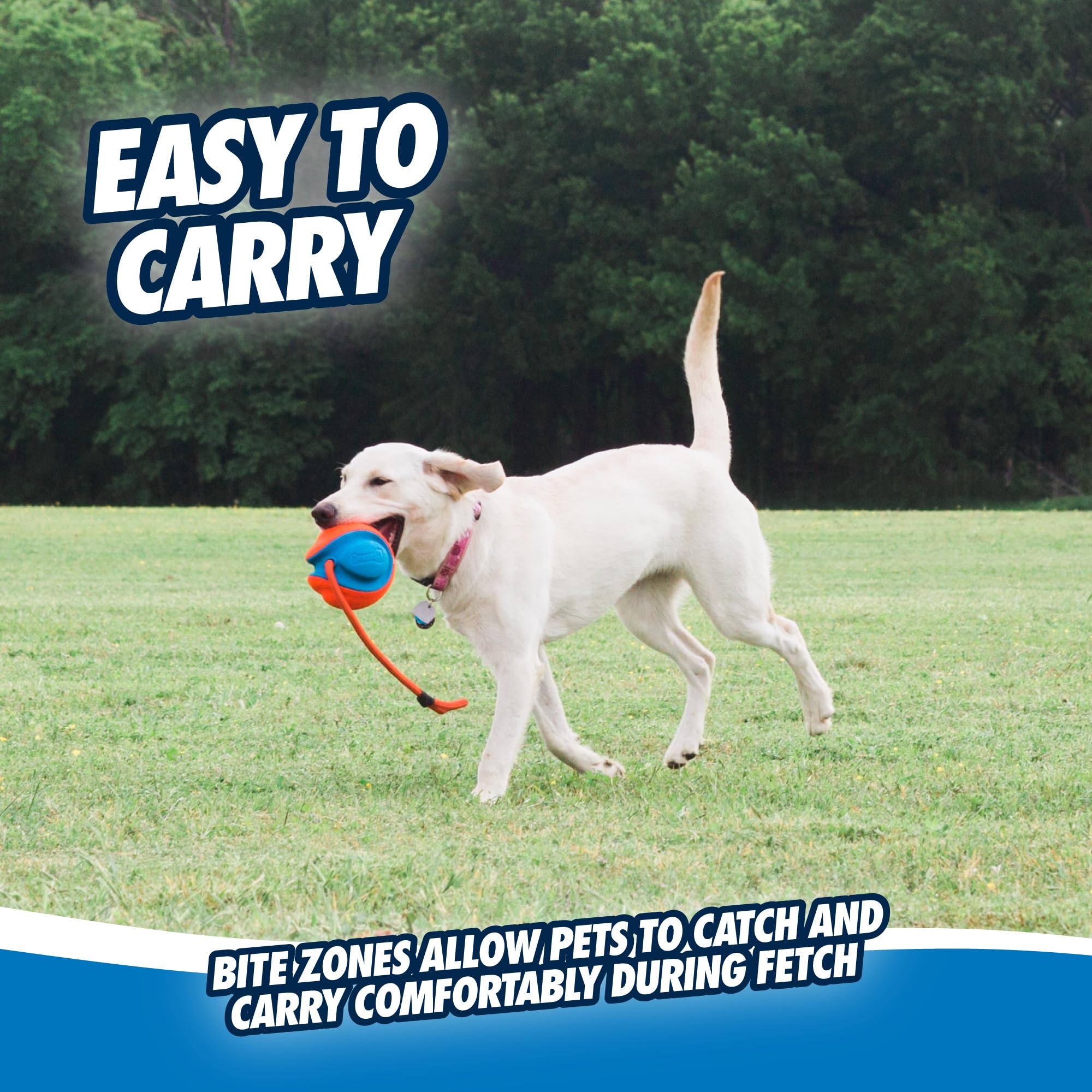 Chuckit! Rope Fetch balle-diamètre 14 cm pour une prise adaptée