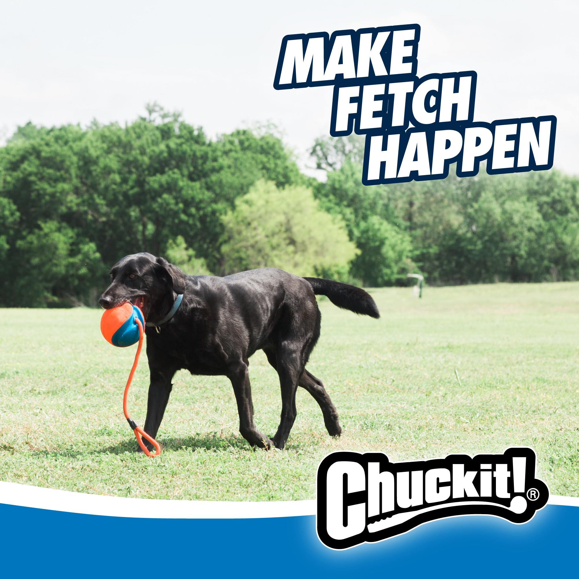 Chuckit! Rope Fetch jouet interactif visible en extérieur et intérieur