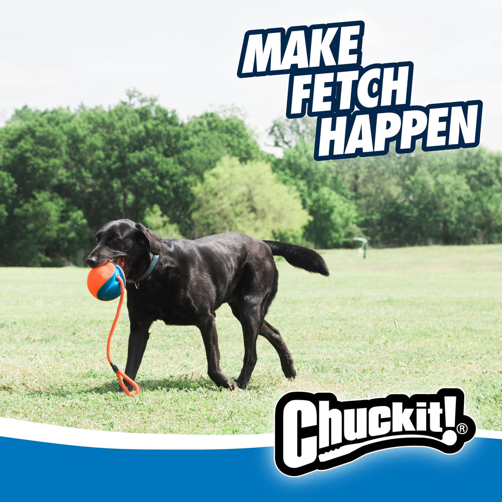Chuckit! Rope Fetch jouet interactif visible en extérieur et intérieur
