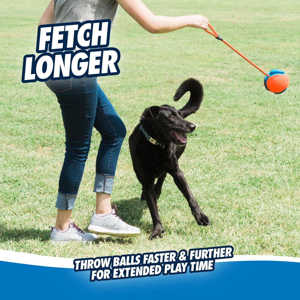 Chuckit! Rope Fetch montre les rainures pour ranger la corde rapidement