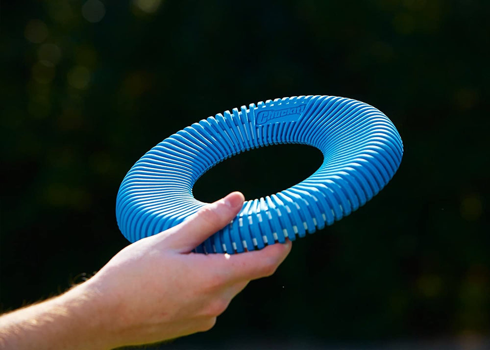 Chuckit Rugged Flyer usage exterieur stimulant l exercice et l interaction