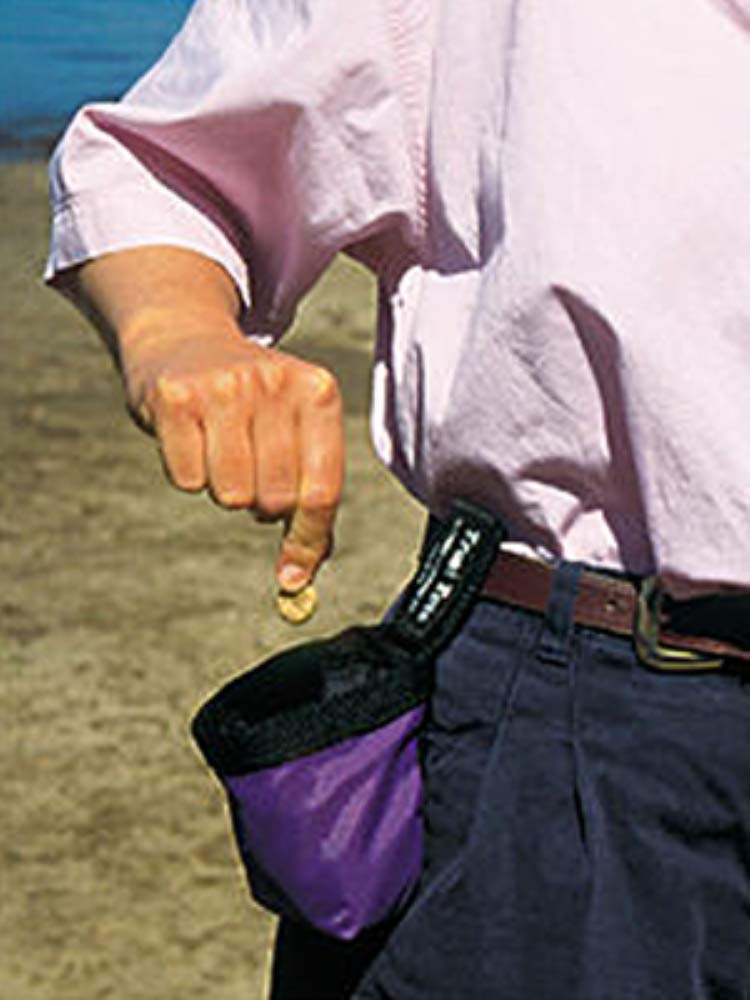 Sac friandises Chuckit! 2 tasses, durable et pratique pour l'entraînement quotidien
