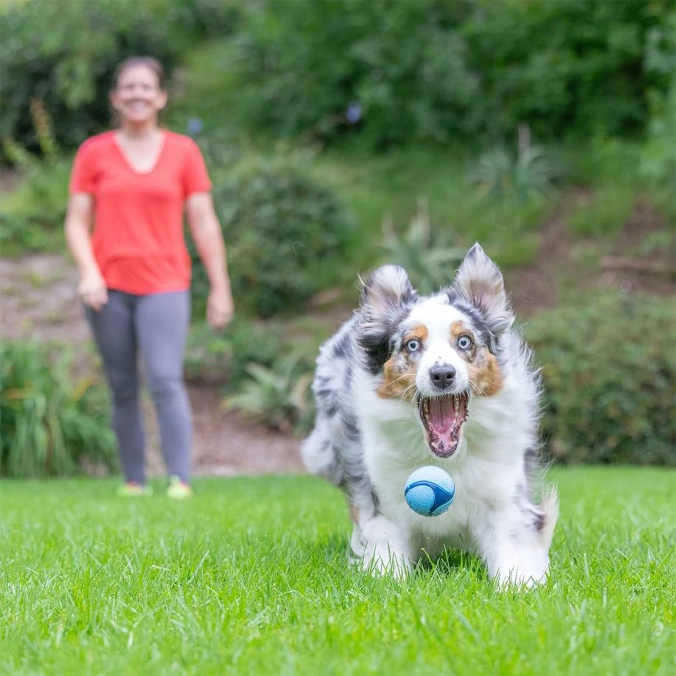 Chuckit! Sniff Ball grand rebond pour lancers visibles