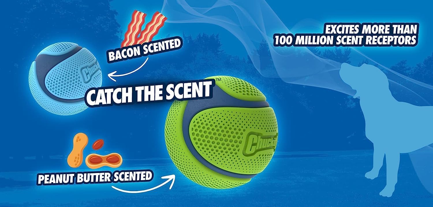 Nettoyage facile du Chuckit! Sniff Ball après session