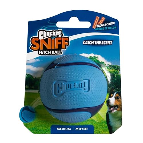 Texture et prise améliorée sur Chuckit! Sniff Ball