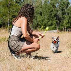Chuckit! Sport 14S – balle mini 2 pouces jaune flottante pour terre et eau.