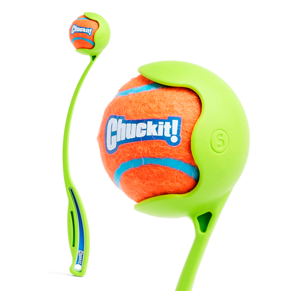 Entraînement en eau et terre avec Chuckit! Sport 14S et balle flottante.