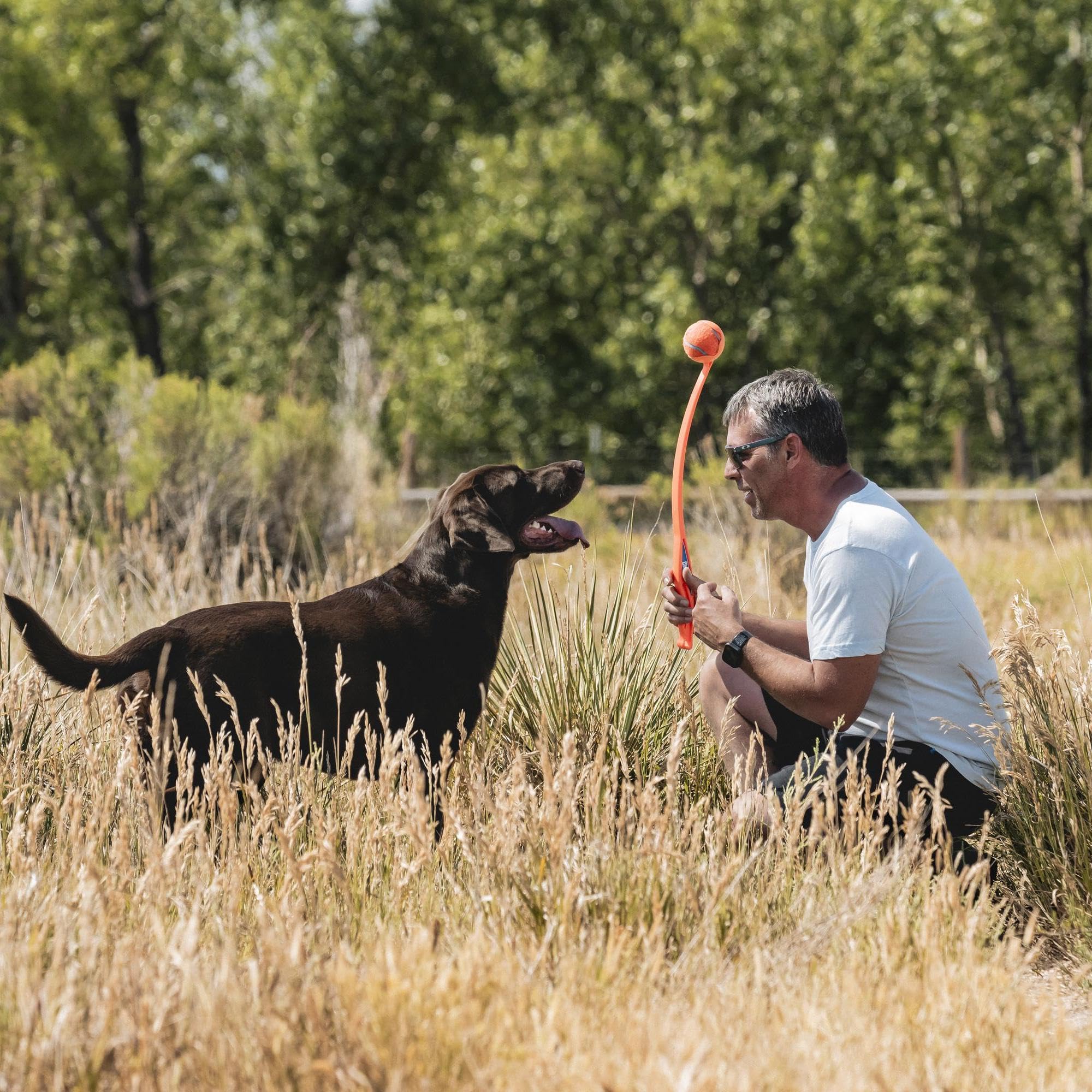 Balle grande Chuckit! de 3 pouces incluse, idéale pour chiens puissants et joueurs actifs.