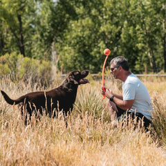 Balle grande Chuckit! de 3 pouces incluse, idéale pour chiens puissants et joueurs actifs.