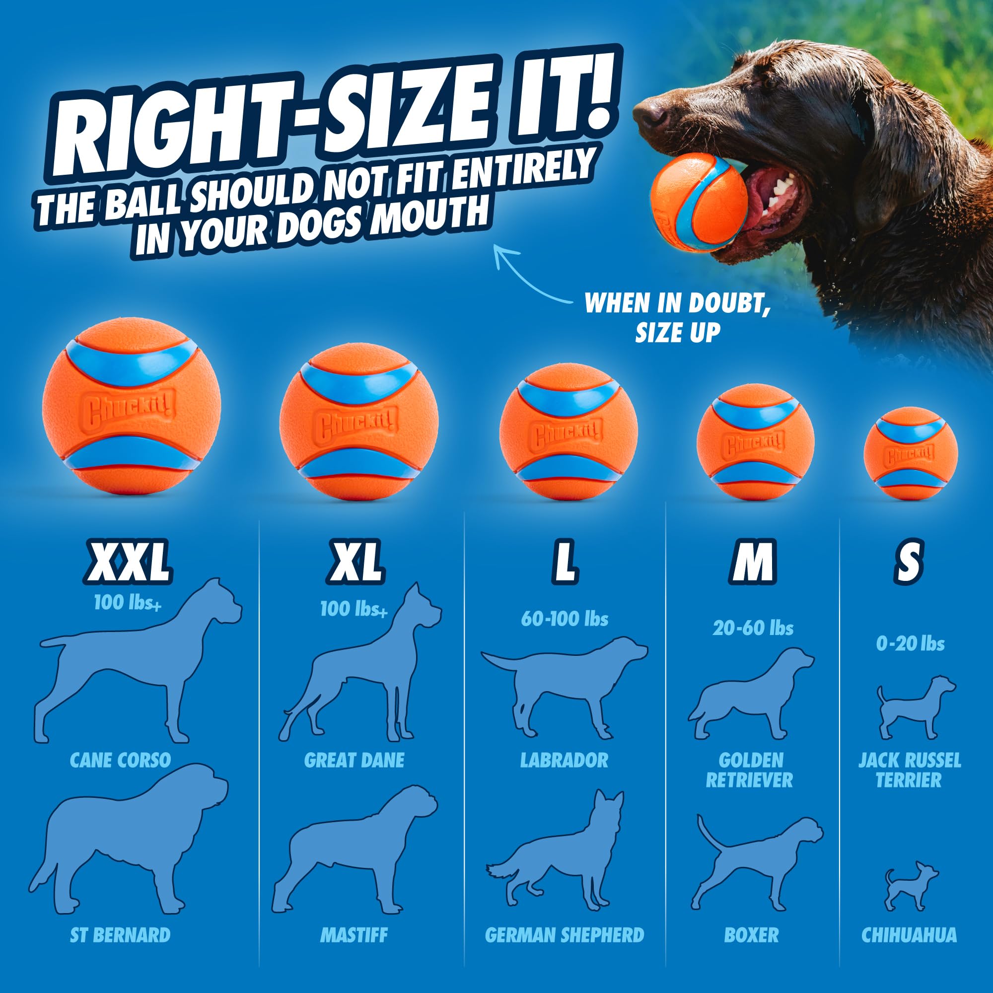 Compatible Chuckit! avec balles de 3 pouces et grandes, adaptées à divers chiens.
