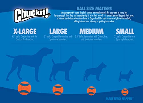 Couleurs vives et durables pour attirer l’attention du chien lors des jeux.