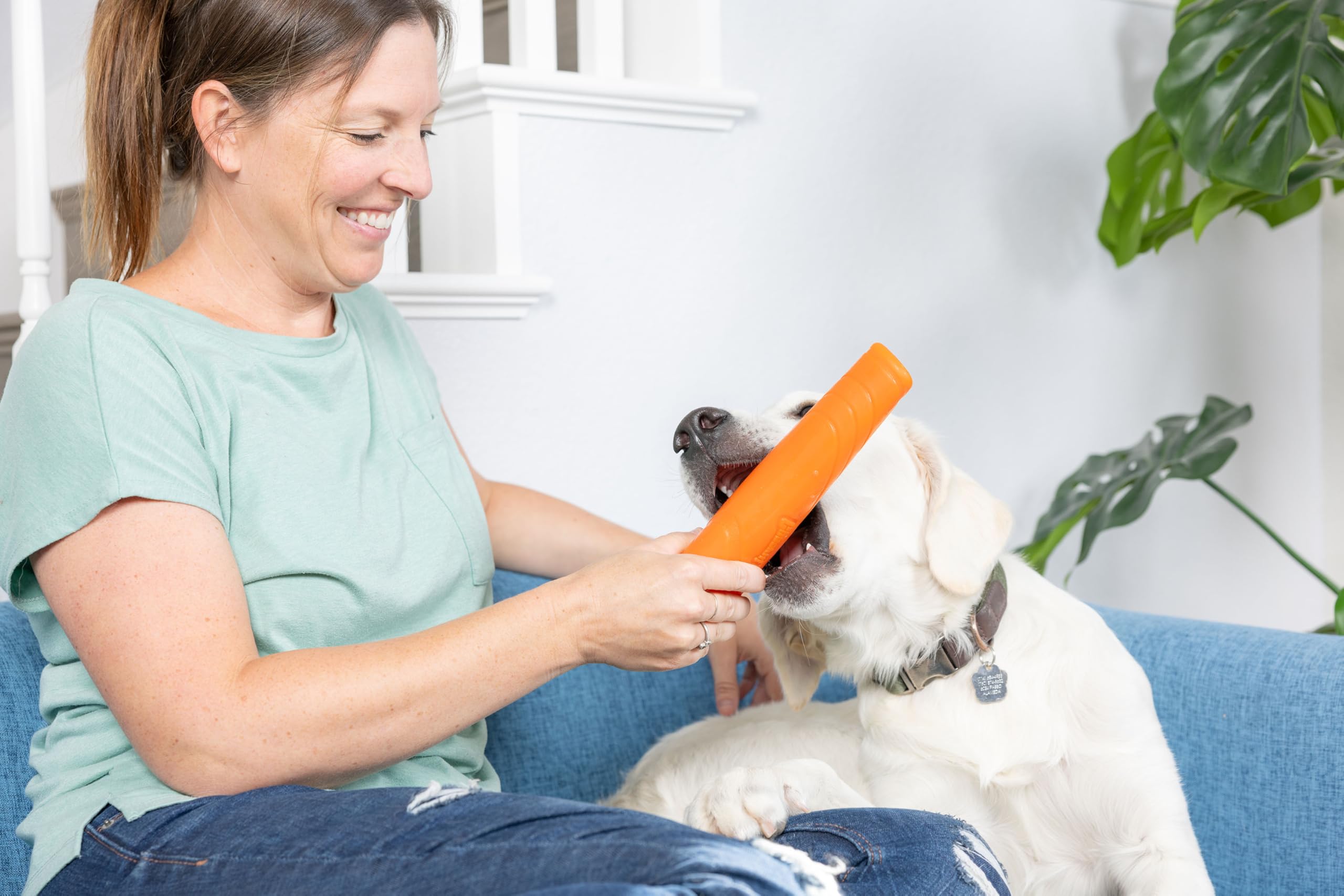 Chuckit! Super Crunch Stick: longueur de 9,2 pouces adaptée pour chiens moyens et grands.
