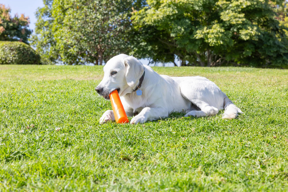 Chuckit! Super Crunch Stick: rebonds irréguliers pour des jeux imprévisibles et amusants.