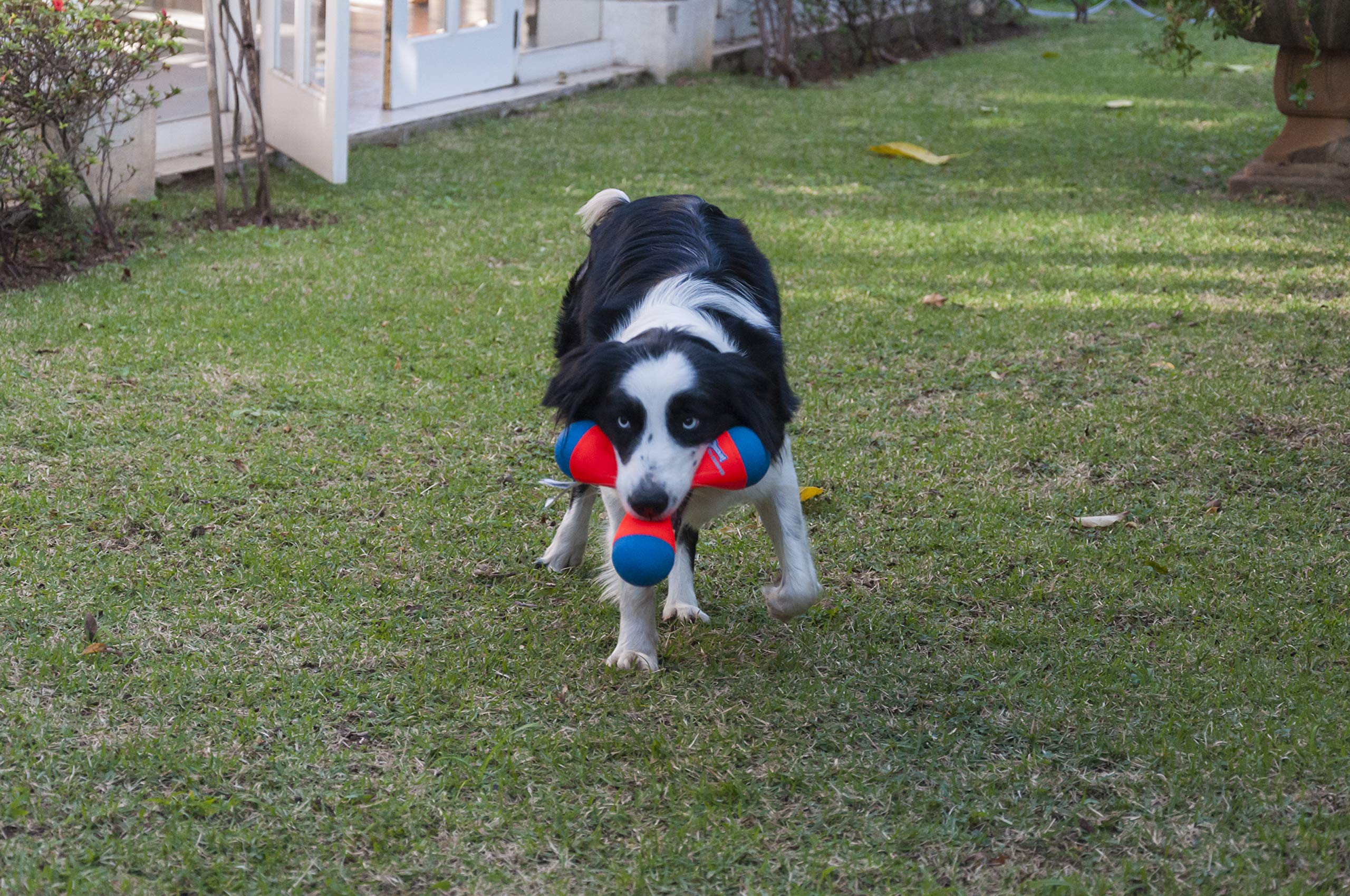 Disponible en taille moyenne adaptée aux chiens de taille moyenne.