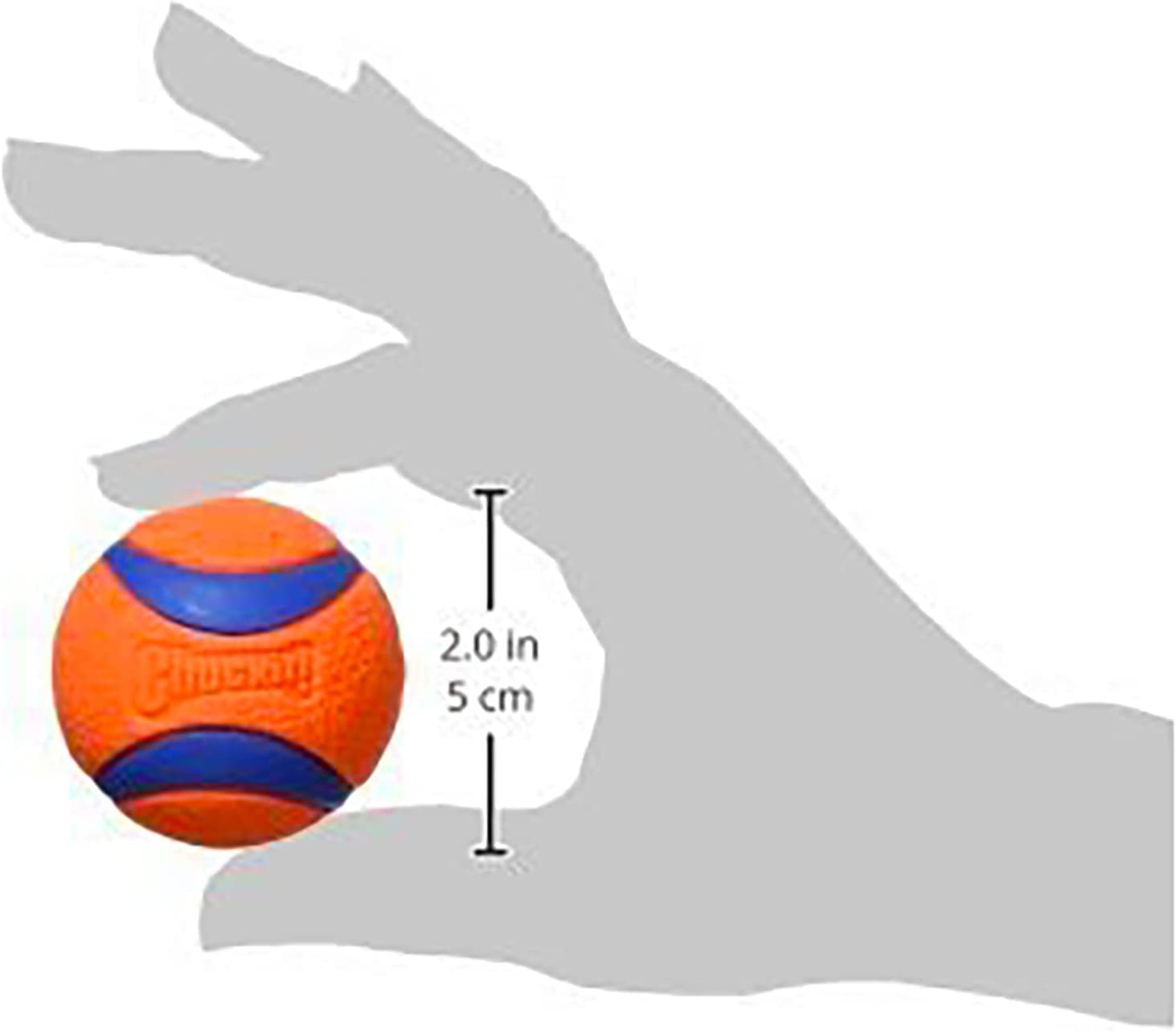 Balle Chuckit! Ultra Ball en extérieur, activité ludique et efficace.