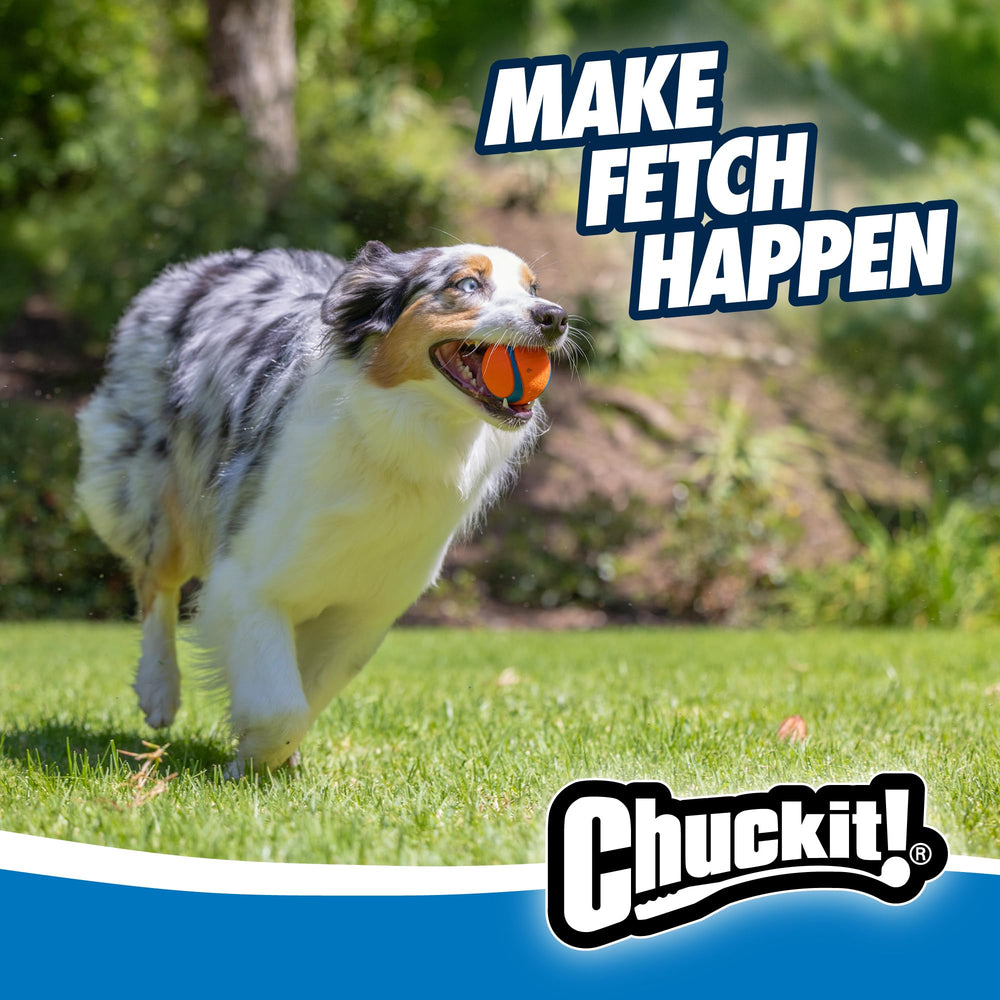 Chuckit Ultra Ball sécurité et supervision recommandées pour un jeu responsable.