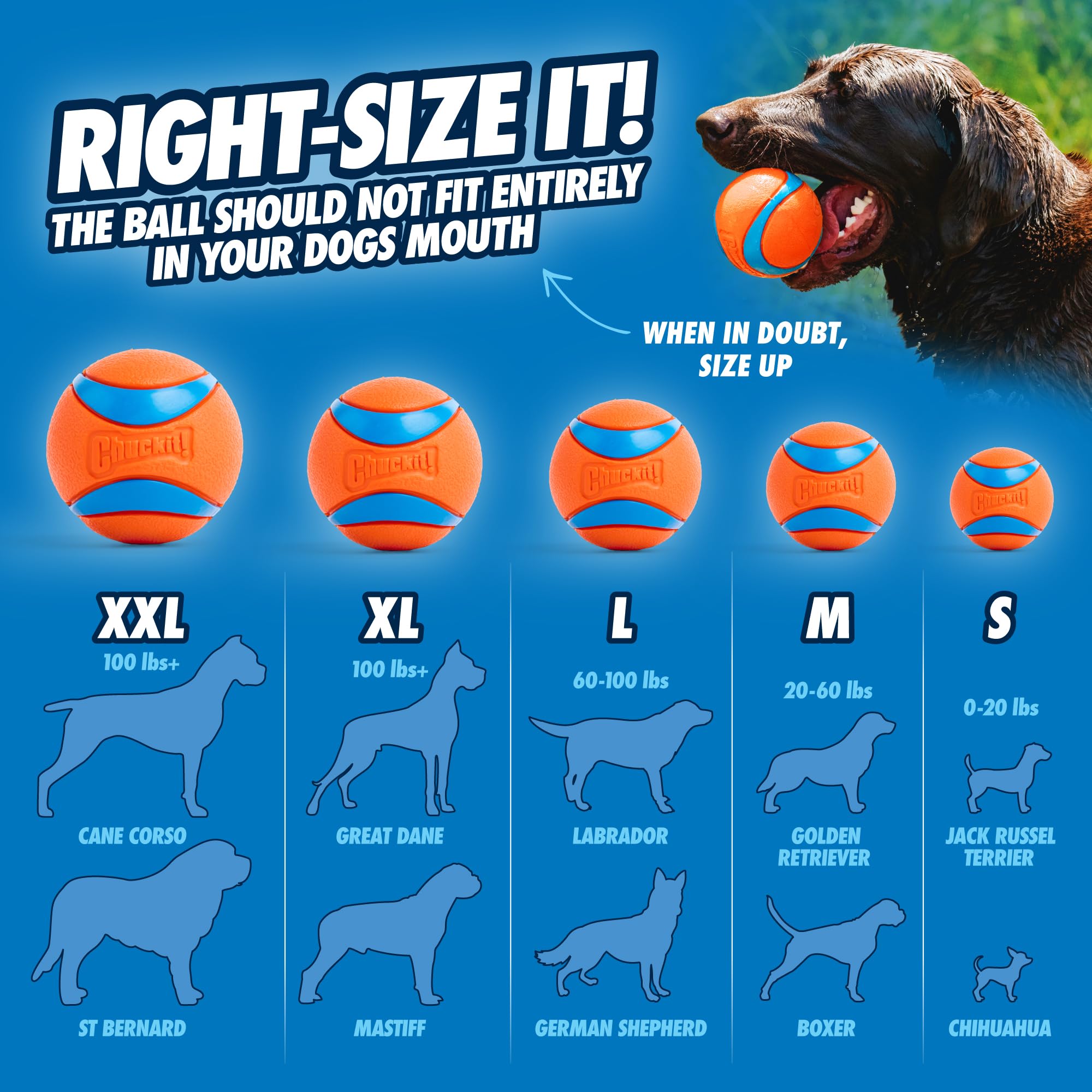 Chuckit Ultra Ball utilisation polyvalente sur terrain et en milieu aquatique.