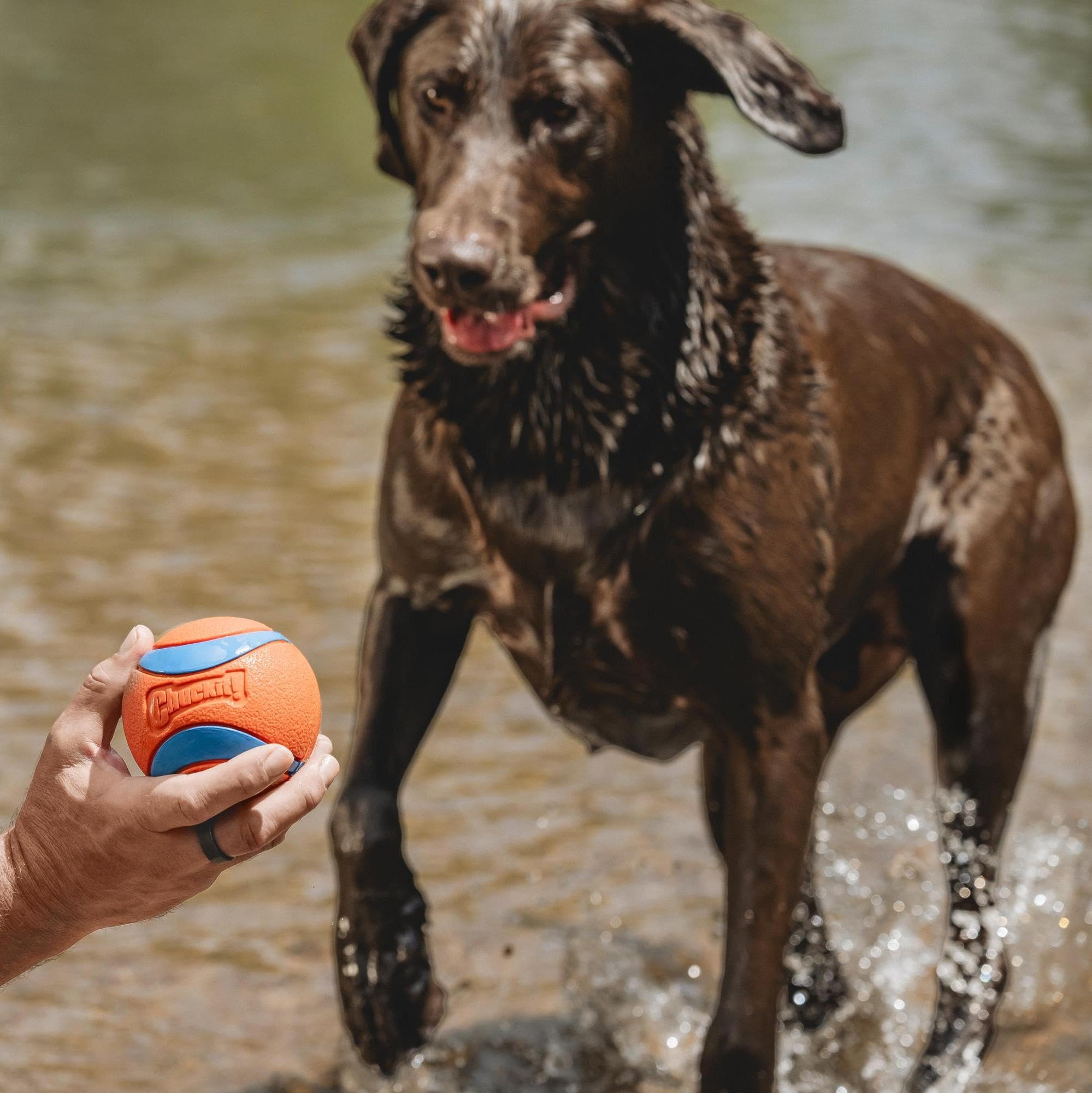 Chuckit Ultra Ball XXL, cœur en caoutchouc épais, durable pour les jeux actifs.